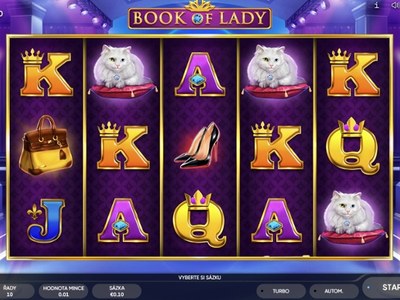 Видеослот Book Of Lady — Endorphina